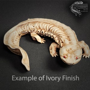 Diplocaulus diplocaulus Magnicornis Figure Unpainted - Etsy