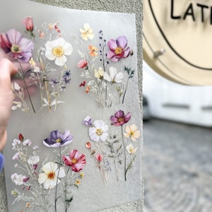 Può includere: Un foglio di carta trasparente con fiori e foglie pressati. I fiori sono in tonalità di rosa, viola, bianco e giallo. Il foglio è perfetto per l'artigianato e lo scrapbooking.