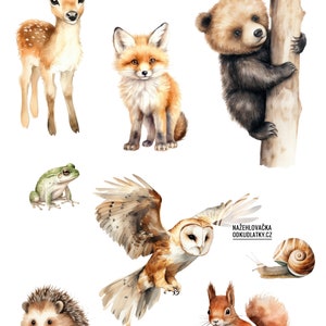 Op de afbeelding: Waterverfillustratie van een verscheidenheid aan bosdieren, waaronder een reegeitje, een vos, een berenjong, een uil, een egel, een eekhoorn, een kikker en een slak. De dieren zijn allemaal afgebeeld in een grillige en charmante stijl, met felle kleuren en delicate details.