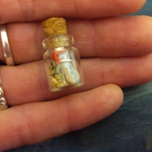 May include: A small glass bottle with a cork top, filled with a rolled up piece of paper and gold glitter.