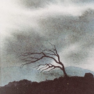 WINDBLOWN TREE ‘SCEACH’. Framed miniature Scenes of Ireland. Signed Watercolour Prints. Paintings of Ireland. Wild Atlantic Way painting.