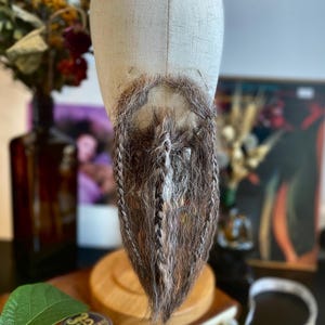 May include: A brown and gray braided beard attached to a mannequin head. The beard has a central section of lighter hair and darker braids on the sides. The mannequin head is covered in a light beige fabric.
