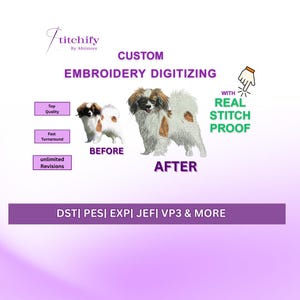 Digitalización de bordados personalizados con vista previa de puntada real, servicio de digitalización de logotipos, archivos PES DST JEF