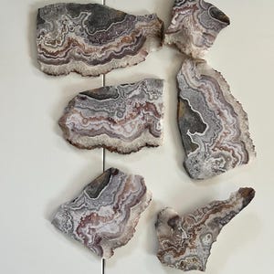 Crazy Lace Agate Slabs - 0.54kg Lapidary Rough - Cabochon Mineral