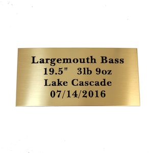 Może przedstawiać: Złota metalowa tabliczka z czarnym tekstem, kt&oacute;ry brzmi "Largemouth Bass 19.5" 3lb 9oz Lake Cascade 07/14/2016".