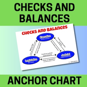 Checks and Balances, The Bill of Rights, 10 Amendments, U.S. Constitution, Freedoms, Social Studies, Anchor charts, chart, digital download