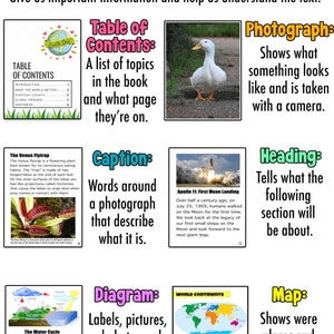 Non-Fiction, Digital Download, Text features, table of contents, caption, English language Arts, Reading, Anchor Charts, School Posters,