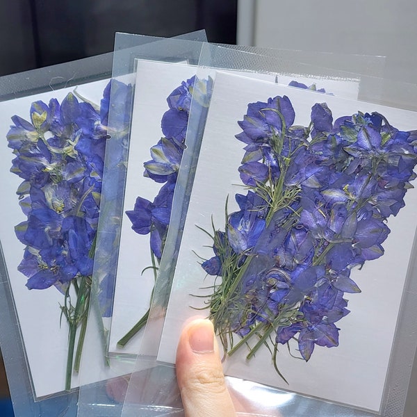 Pressed Larkspur; Pressed Purple Flowers; Pressed Purple Larkspur on stems; Pressed Flowers for Resin/DIY/Jewellery/ Epoxy/Forest Find