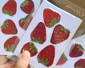 5 pcs Dried Pressed Strawberry Fruits; Strawberry Fruit; Dried Pressed Fruits for Resin/Art Crafts/diy/Jewellery/Epoxy