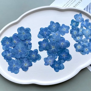100 Pressed Hydrangea;Pressed Dried Hydrangea Flowers;Pressed Blue Hydrangea;Pressed Hortensia flowers for Crafts/DIY/Jewellery/Resin LX
