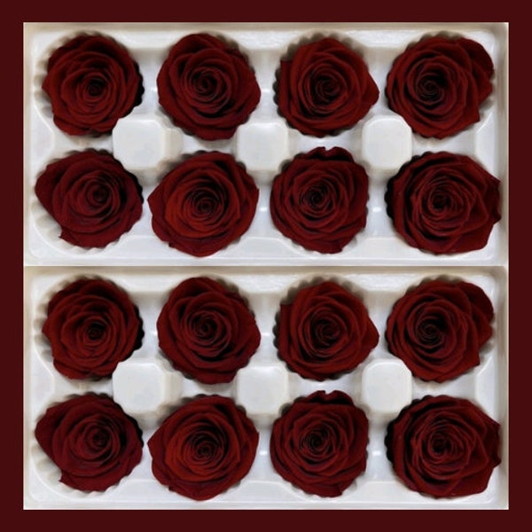 4-5cm Preserved Rose; Preserved Wine Red Rose; Everlasting Rose; Everlasting Wine Red Rose; Stabilised Roses; Eternal Rose; Rose