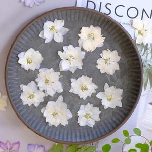 12 Pcs Pressed Flowers;White Pressed Flowers;Dried Pressed Flowers for Resin/Art Crafts/diy/Jewellery/Epoxy/Wedding Flowers/Wedding Decor LH