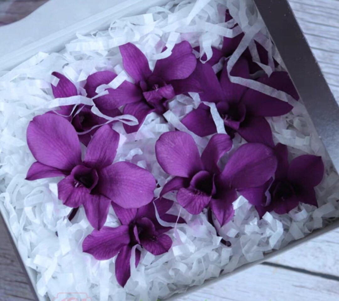 Preserved Orchids/preserved Flowers/preserved Dendrobiums/everlasting