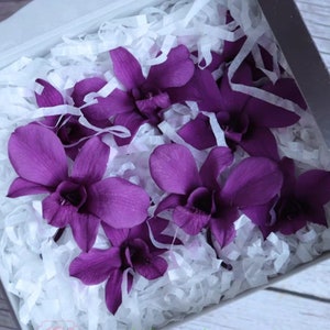 Preserved Orchids/Preserved Flowers/Preserved Dendrobiums/Everlasting flowers/Everlasting Orchids/Flowers for Resin/Epoxy/Jewellery/Crafts
