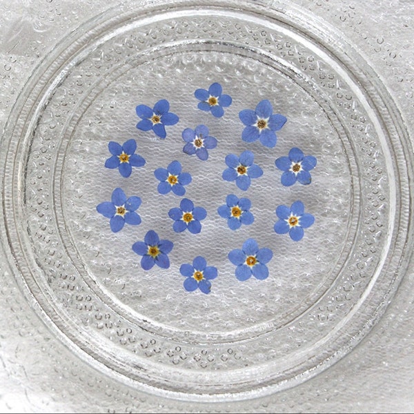 Pressed Forget Me Not; Pressed Forget Me Not Flowers; Dried Pressed Forget-Me-Not Flowers; Blue Forget-Me-Not Flowers (Packs of 12/ 100)