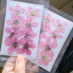 20 押し花桜; 押し花桜; 樹脂/アートクラフト/DIY/ジュエリー/エポキシ/森の掘り出し物/庭の掘り出し物用の押し花ピンク DXB