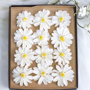 Preserved Daisy/ Preserved Zinnia/ Preserved Flower/ Preserved Gerberas/Everlasting Flowers