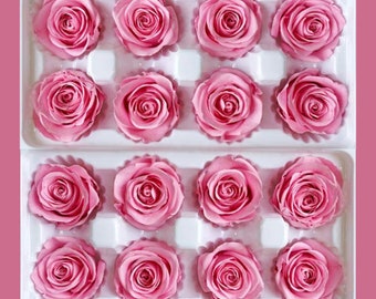 4-5cm Preserved Rose; Preserved Pink Rose; Everlasting Rose; Everlasting Sweet Pink Rose; Stabilised Roses; Eternal Rose; Rose