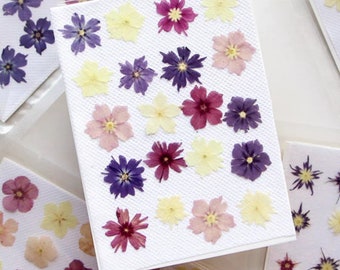 20 Pressed Boho Purple Flowers; Dried Pressed Purple Flowers; Pressed Phlox Purple Flowers; Pressed Pink Flowers; Pressed Blue Flowers