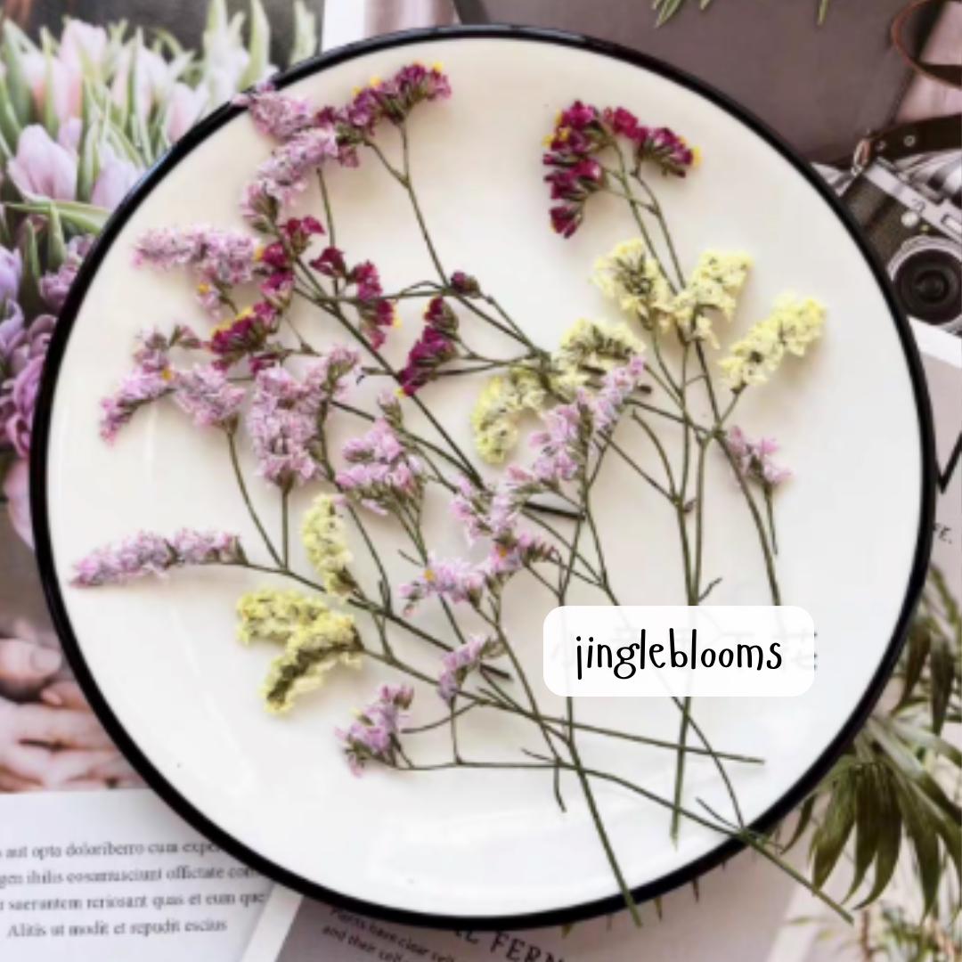 Pressed Flowers;Pressed Small Flowers;Pressed Lavender;Pressed Wildflowers for Resin/Wedding/Jewellery/Epoxy/Candle-Making/Wax Seal XYS