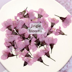 20 fiori di ciliegio pressati; fiori di ciliegio pressati; fiori rosa pressati per resina/artigianato artistico/fai da te/gioielleria/resina epossidica/fiori da sposa/candele/biglietto LX
