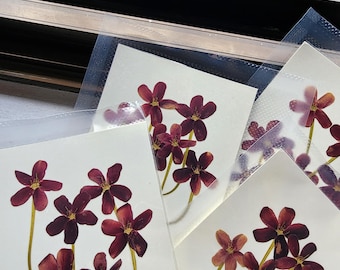 Pressed Red Flowers; Pressed Dried Wild Flowers; Pressed Flowers for Resin/Art Crafts/DIY/Jewellery/ Epoxy/Forest Find/Garden Find