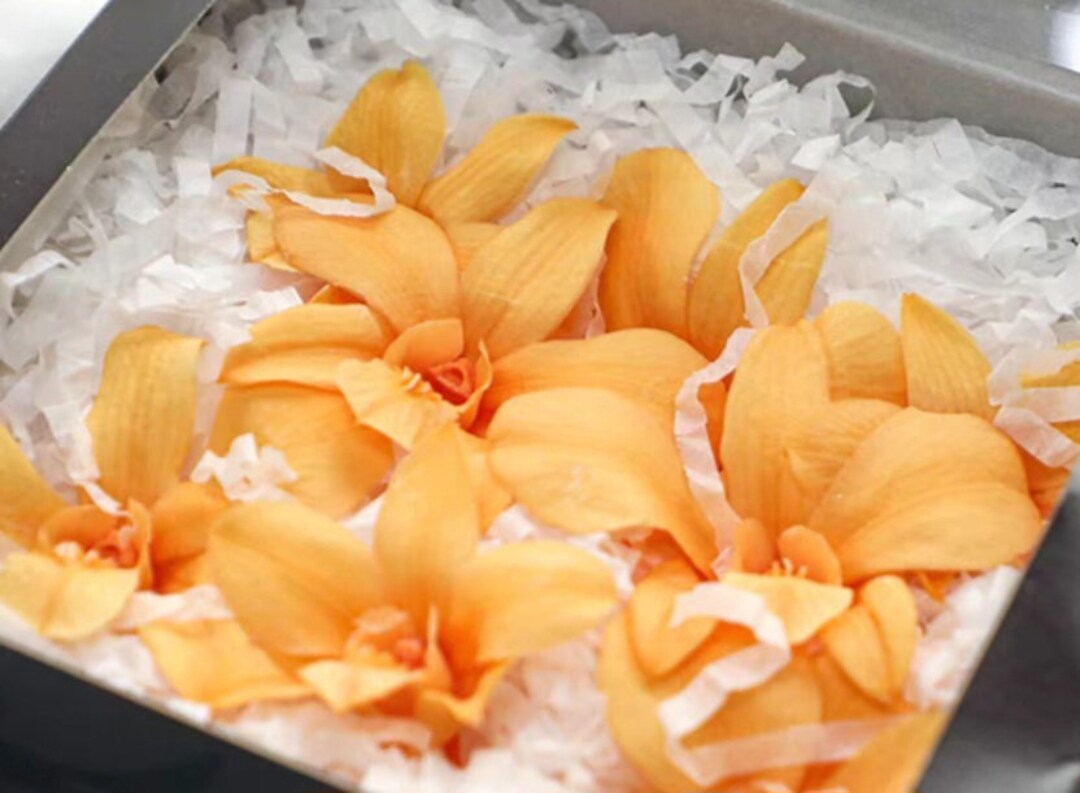 Preserved Orchids/preserved Flowers/preserved Dendrobiums/everlasting