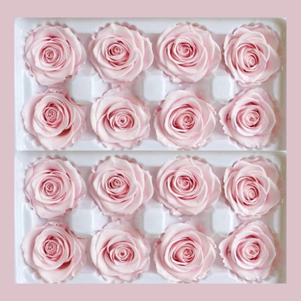 4-5cm Rose Préservée; Rose rose pâle préservée; Rose éternelle ; Rose rose pâle éternelle; roses stabilisées ; Rose éternelle ; Rose