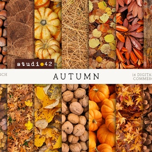 Peut inclure: Un pack de papiers numériques avec 14 motifs sur le thème de l'automne. Le pack comprend des images de noix, de feuilles, de citrouilles et de bois. Le texte "AUTUMN" est affiché au centre de l'image. Le texte "14 DIGITAL PAPERS COMMERCIAL USE" est affiché dans le coin inférieur droit de l'image.