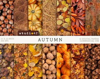 Papel digital de otoño, papeles para scrapbooking de otoño, texturas de otoño, fondos de otoño, texturas de madera desgastada, papeles para scrapbooking con textura de otoño