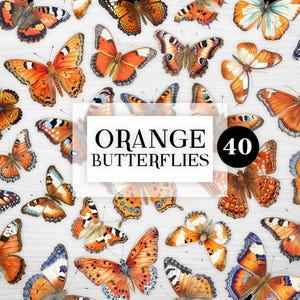 Pack de 40 cliparts papillons orange, clipart vintage papillons bleus, papillons aquarelle orange, embellissements de scrapbooking papillon