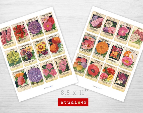 Printable Vintage Seed Packets Flower Seed Packages Gift Tags Garden  Ephemera Instant Digital Collage Sheet Download 