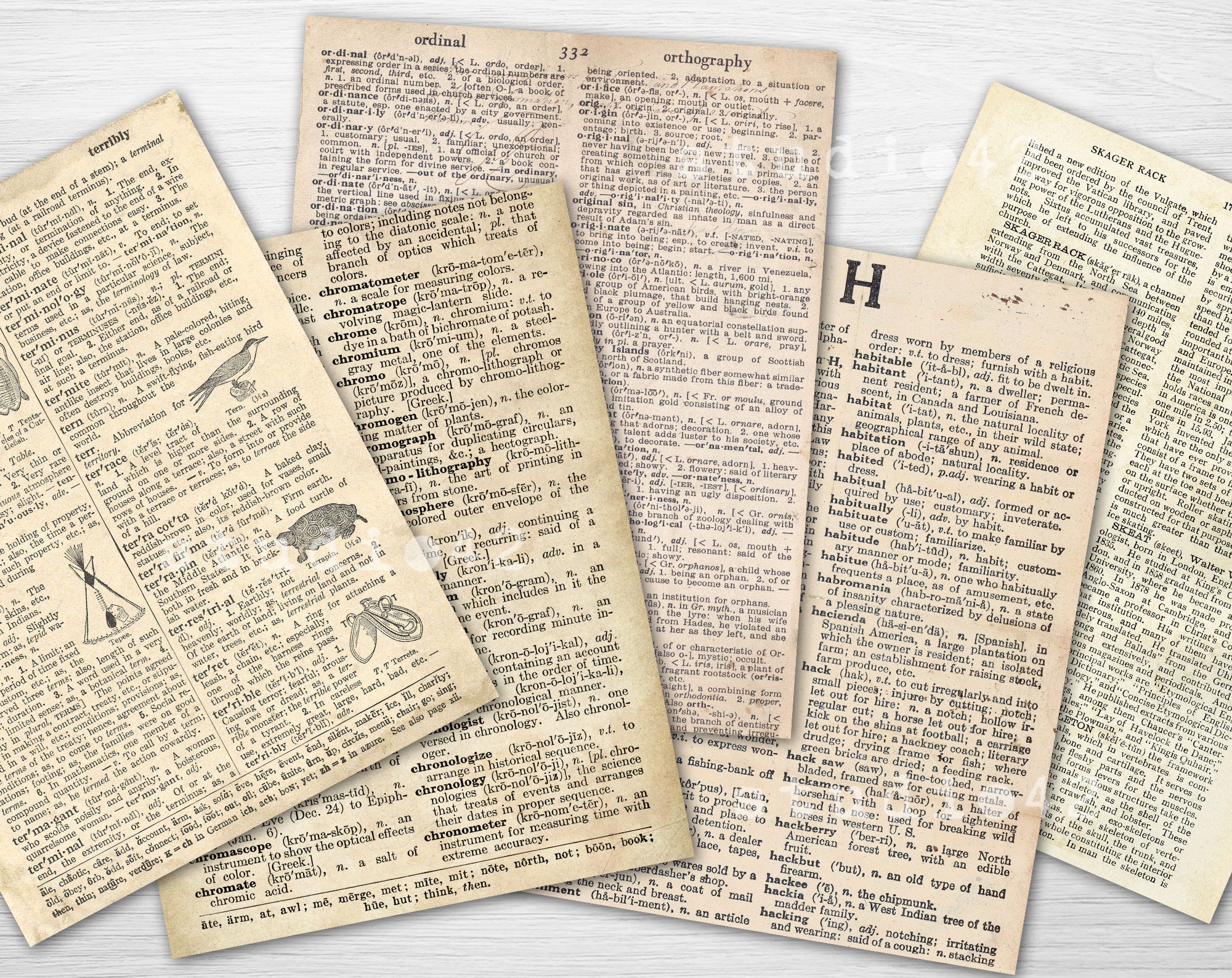 Old Dictionary Pages Digital Paper, Old Dictionary Printable Paper, Printable Decoupage Paper