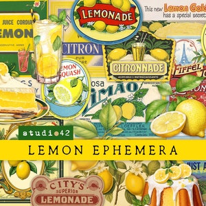 Lot d'éphémères citron, Feuilles de collage numérique Limonade, Impressions estivales de jardins fruitiers, Impressions jardin, Décorations printanières