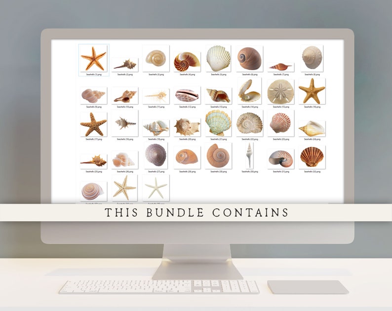 Op de afbeelding: Een computerscherm waarop een raster met 36 afbeeldingen van schelpen en zeesterren te zien is. De tekst "THIS BUNDLE CONTAINS" wordt onderaan het scherm weergegeven.