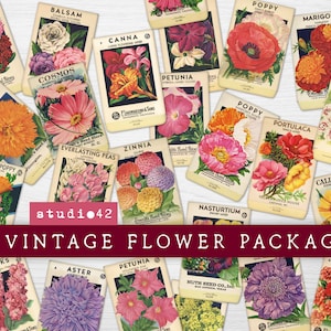 Vintage Flower Seed Packets Set 1 Commercial Use Printable JPG