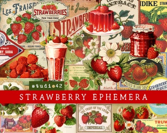 May include: Vintage style digital collage sheet featuring illustrations of strawberries, jars of jam, and other strawberry-themed imagery. The sheet includes the text "Strawberry Ephemera".