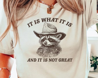 It Is What It Is And It Is Not Great Shirt,Funny Raccoon Shirt,Raccoon Meme Sweatshirt,Sarcastic Raccoon,Funny Graphic Shirt,Funny Nostalgia