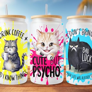 Sarkastisches Libbey PNG, lustige Katzen Libbey PNG, 16 Unze Libbey Glasdosen-Design, lustige Sublimationsdesigns, süßes Katzengeschenk, Snarky Libbey Tasse PNG