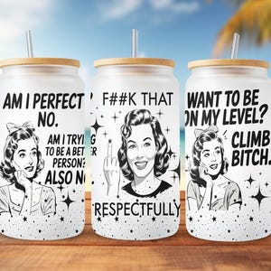 Sarcastic Libbey PNG, Vulgar Libbey PNG, 16oz Libbey Glass Can Design, fun sublimation designs, adult humor png, Snarky Cup, Funny PNG gift