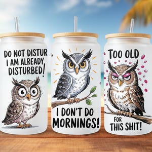 May include: Three glass tumblers with bamboo lids and straws. Each tumbler features a different owl illustration with humorous text: "DO NOT DISTURB, I AM ALREADY DISTURBED!", "I DON'T DO MORNINGS!", and "TOO OLD FOR THIS SHIT!".