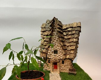 house by the plant.