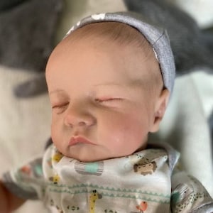 Reborn dolls for sale under $200 sales