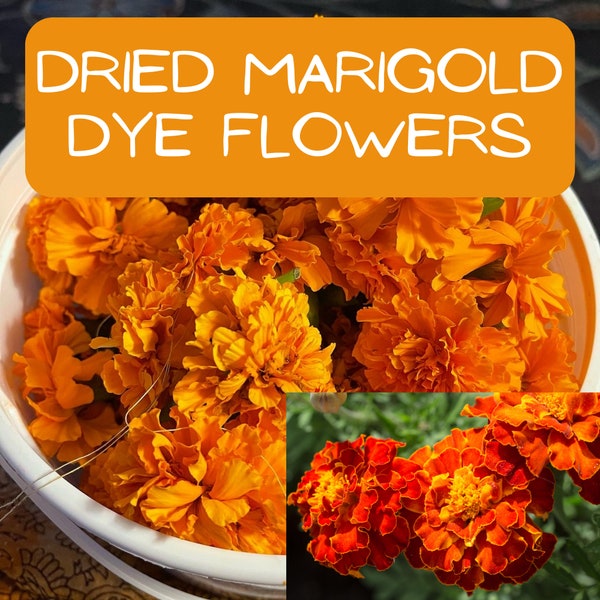 Dried Marigold Flowers for Dye, 50gm Marigold Dye, Natural Fiber Dyes, Yellow & Green Natural Dye, Mustard Natural Dye, Bundle Dye Flowers