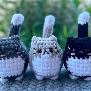 Crochet Cat Plushie, soft chubby kitty stuffed animal image 9