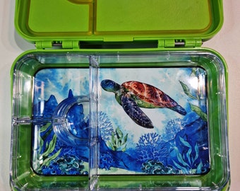 Tortue, Personnalisé, insert de boîte à lunch, boîte à lunch, boîte à lunch