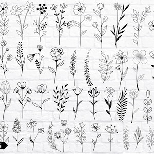 Wildflower Svg, Flower Svg Bundle, Floral Svg Bundle, Plant Svg Bundle, Botanic Svg Bundle
