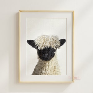 Adorable Valais Blacknose Baby Sheep Print, Nursery Room Decor Printable Wall Art, Nursery Baby Animal Art, Digital Download