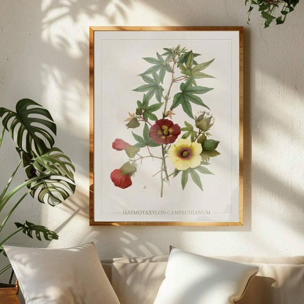 Botanical Canvas Prints | Mexico Flowers Antique Art | Large Wall Art