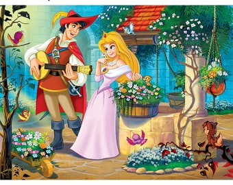 Disney Acrylic  Princess in the Garden Paint By Numbers Kit for Adults on Canvas